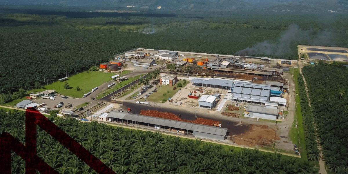 slider proyectos palma de aceite: Hondupalma imagen 1