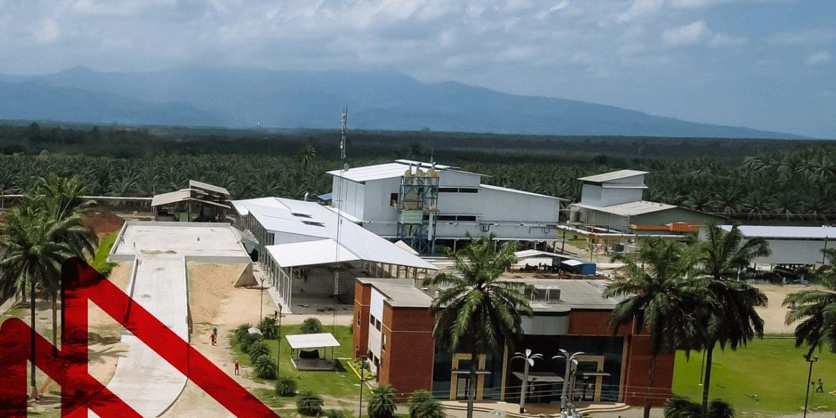 slider proyectos palma de aceite: Hondupalma imagen 2