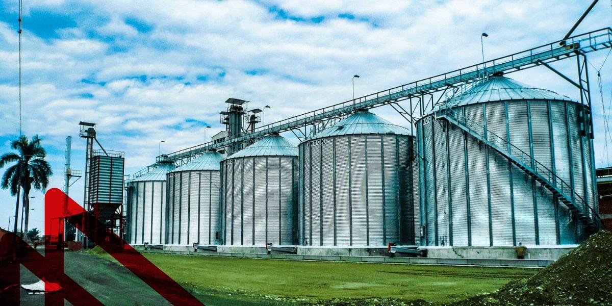 slider proyectos alimentos concentrados: Pollos Bucanero imagen 1