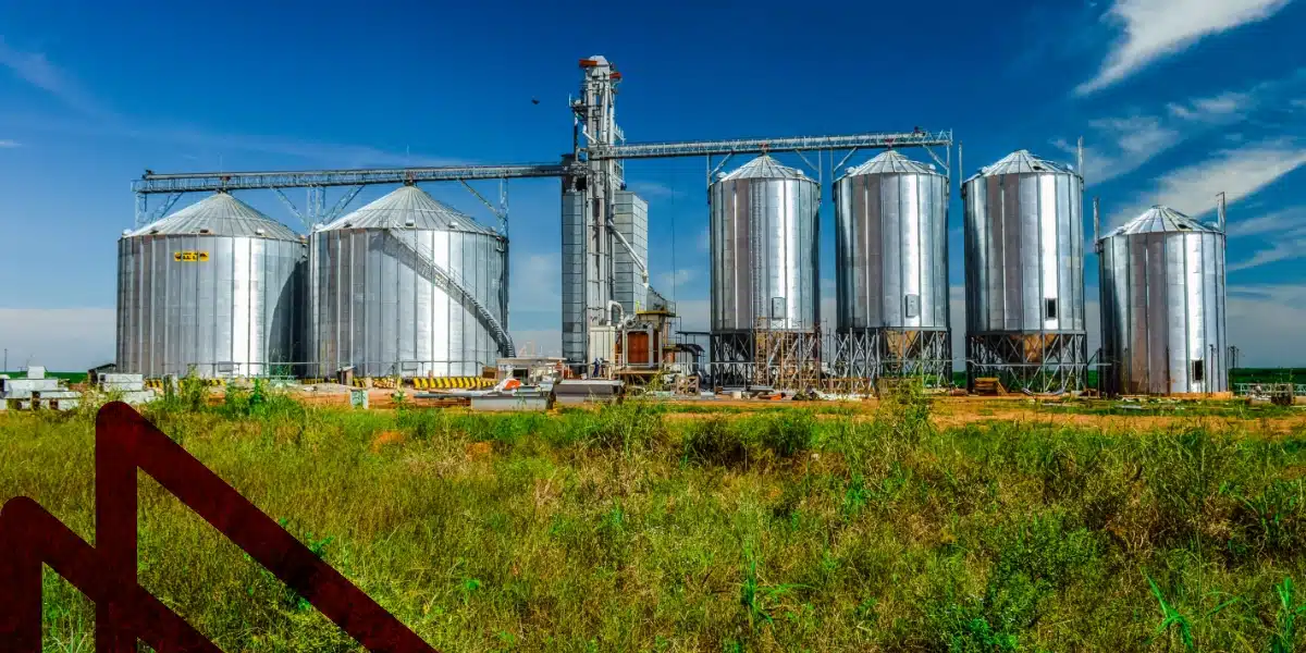 fazenda-secamiento-cereales-03